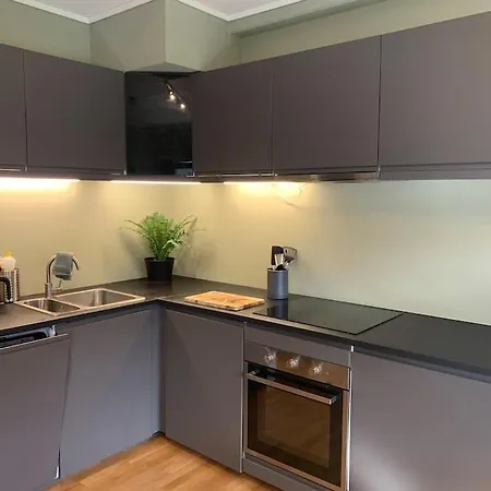 Svaert Sentral Leiligheit *