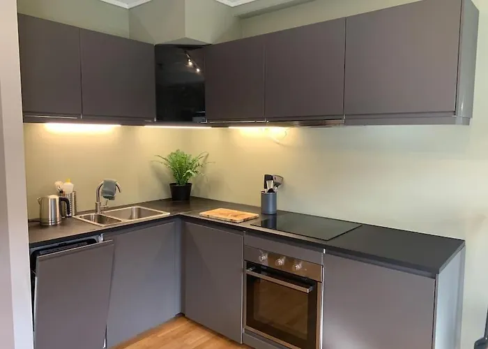 Svaert Sentral Leiligheit *